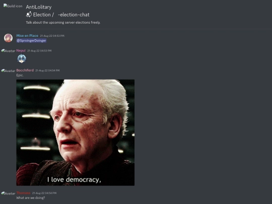 AntiLolitary - 📬 Election - 📨-election-chat [1011015263191318598] screenshot